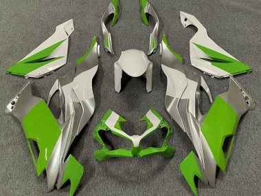 Verde Blanco & Plata 19-23 ZX6R Carenado Moto